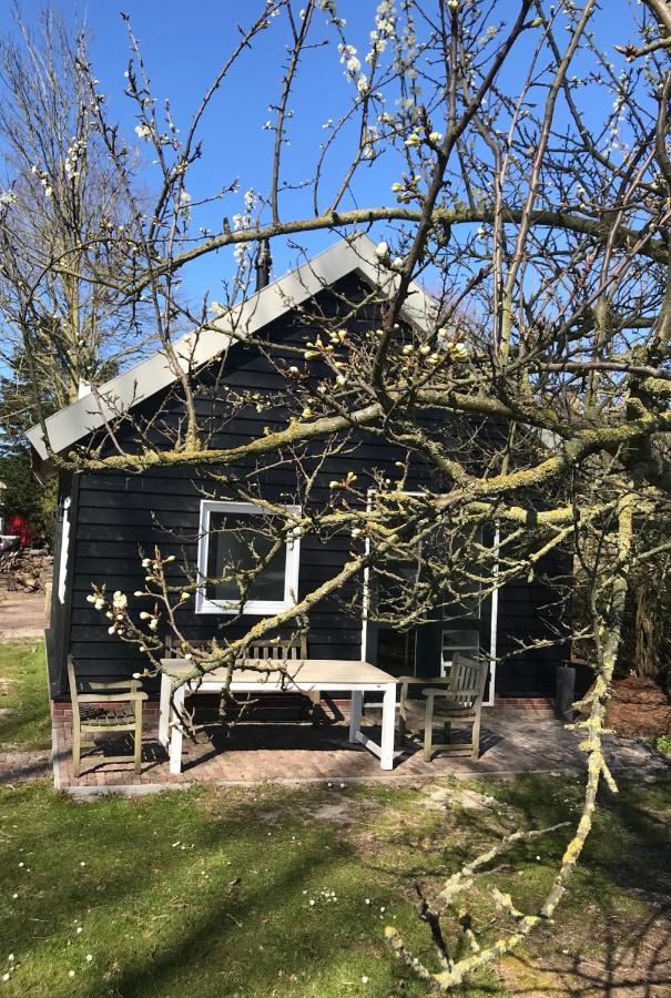 Ijsselmeer Lake Houses Andijk Exteriör bild