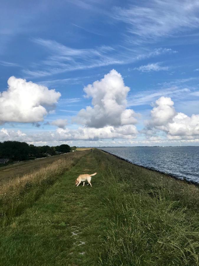 Ijsselmeer Lake Houses Andijk Exteriör bild