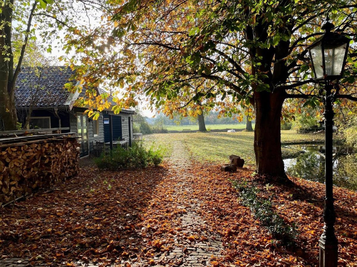Ijsselmeer Lake Houses Andijk Exteriör bild
